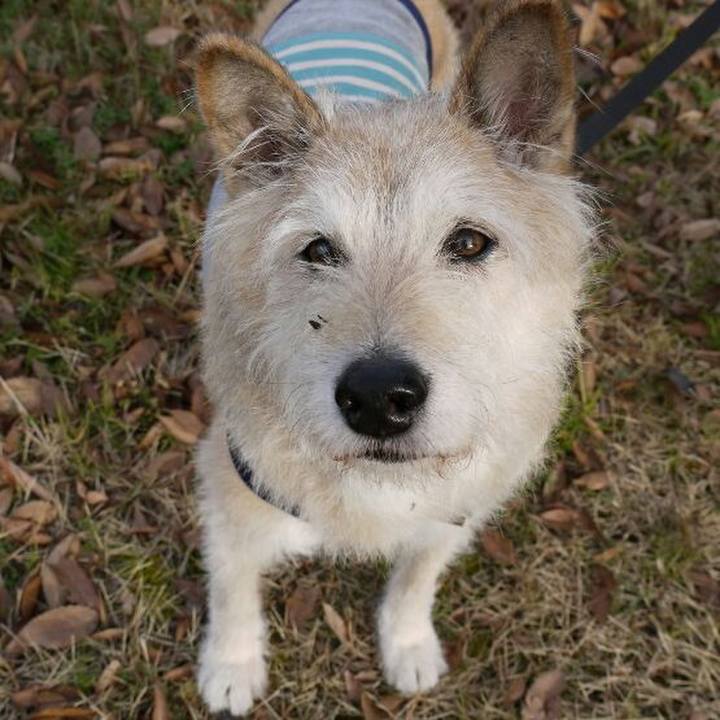 6f1dc79a 9b5c 4fb6 9cc0 d41b3bc5bb69