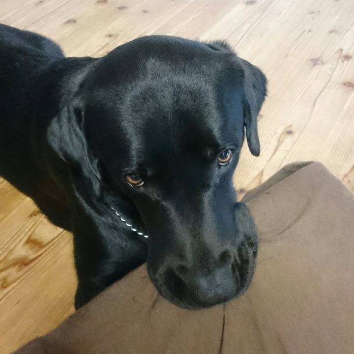 6f1e2a0b 7fa3 4a85 9f99 2812cbeb32f8