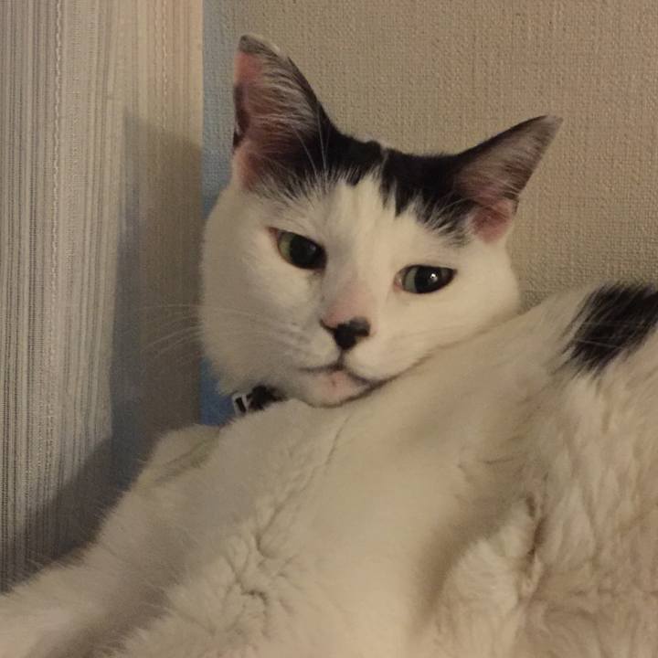 6f1f0f41 ebf1 464a b8fa 90885fd7cb3e