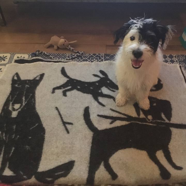 6f1fac00 50f8 457d a2ac 71341990609c