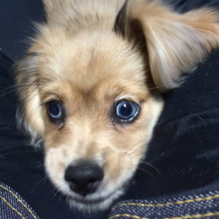 6f203ac5 63b3 4b3c b75c f2cc5b83173b