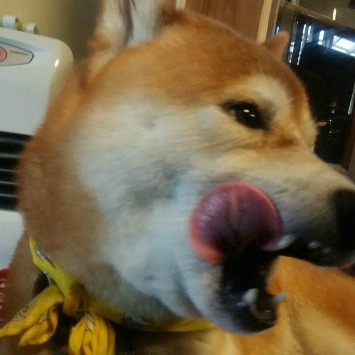 6f22374a 70a1 480f ae21 eeabce119a44