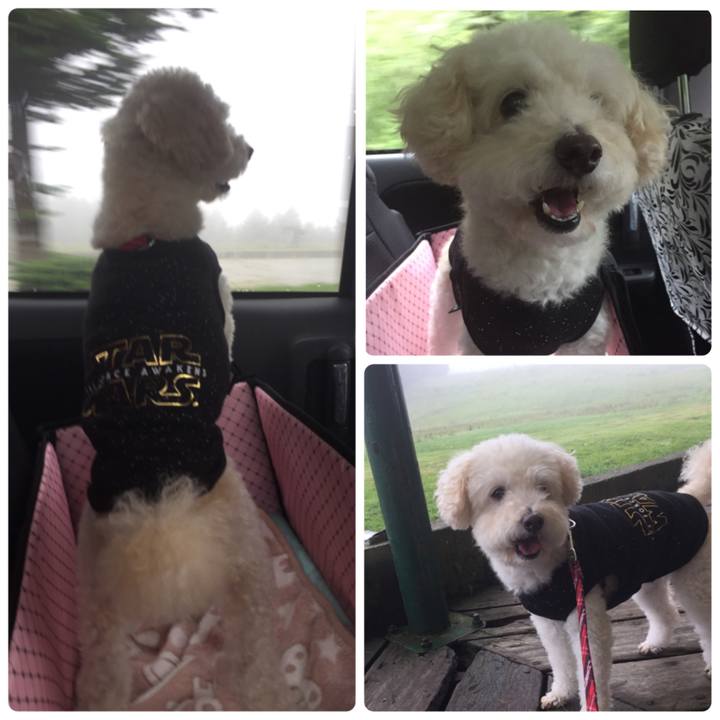 6f227f1f 6e02 421a 8182 8787a788cf51