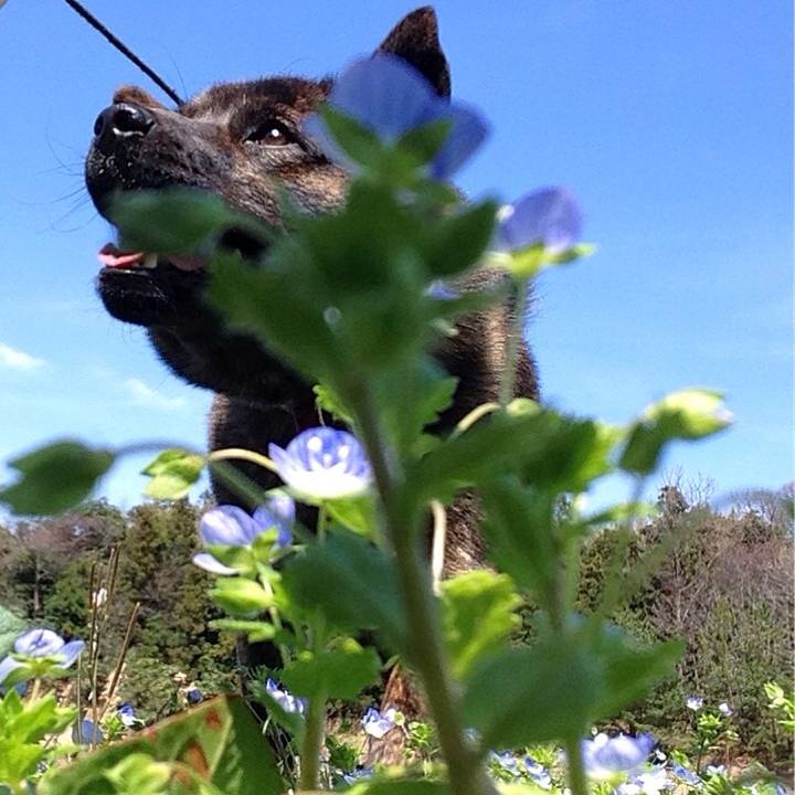 6f22a92d 670a 4c43 9b3b 3a608fbd0436