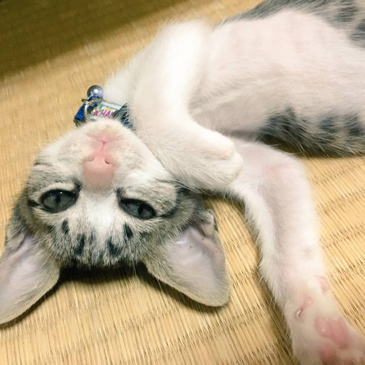 6f232186 69b7 4139 a689 1bd55cd9ea9d