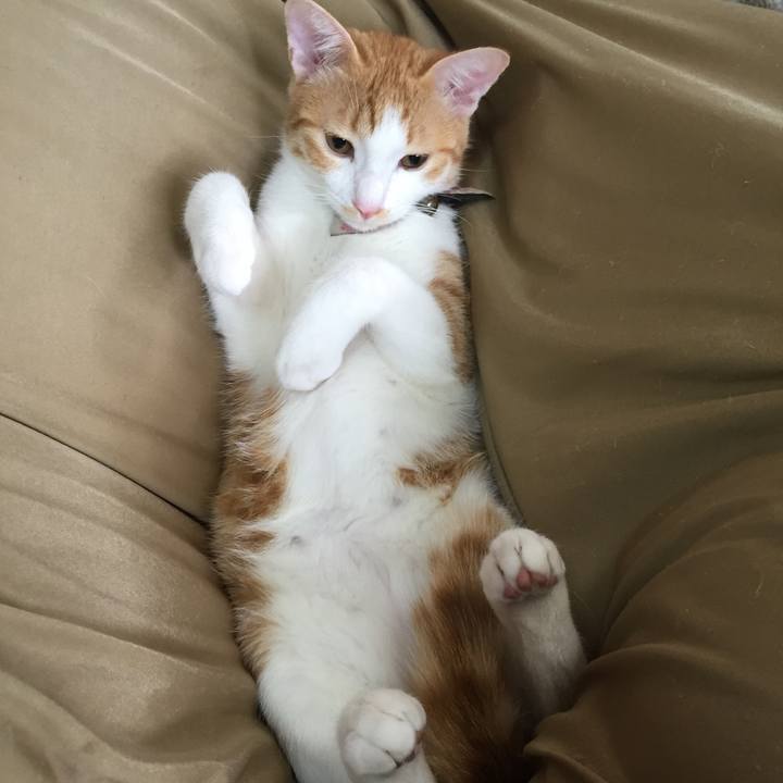 6f23bd9e 86eb 4bdb ad6d 8a6c35f6abc1