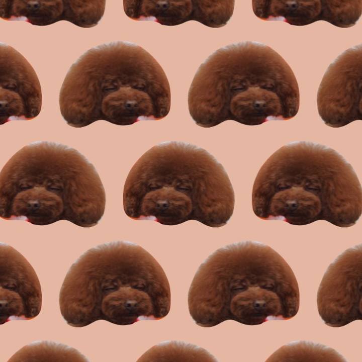 6f23c013 98b4 448f 8c32 df7b3d288d3b