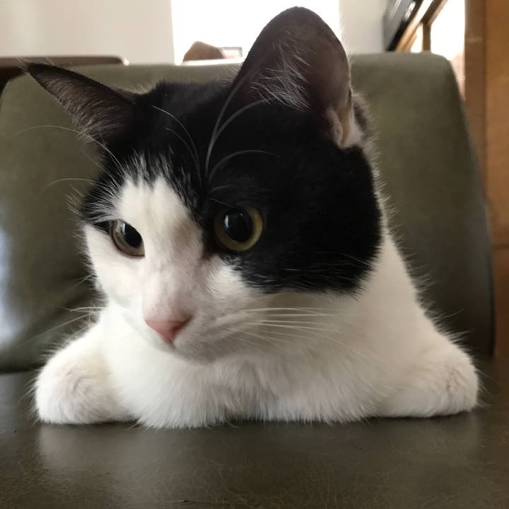 6f242dc8 ac63 4a05 8392 db5b4488612c