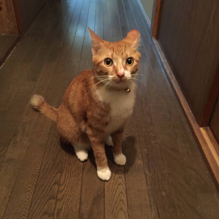 6f2452bb e7fa 4f01 88d5 6414f7b343b0