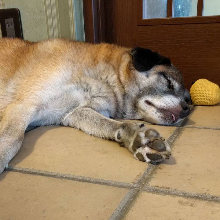 6f24725b 00e4 427b 8faf ac14e7945229