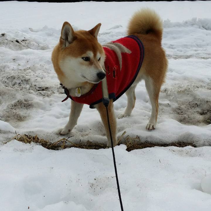 6f24f996 8a2d 41cf 8f21 2a8bca97c488