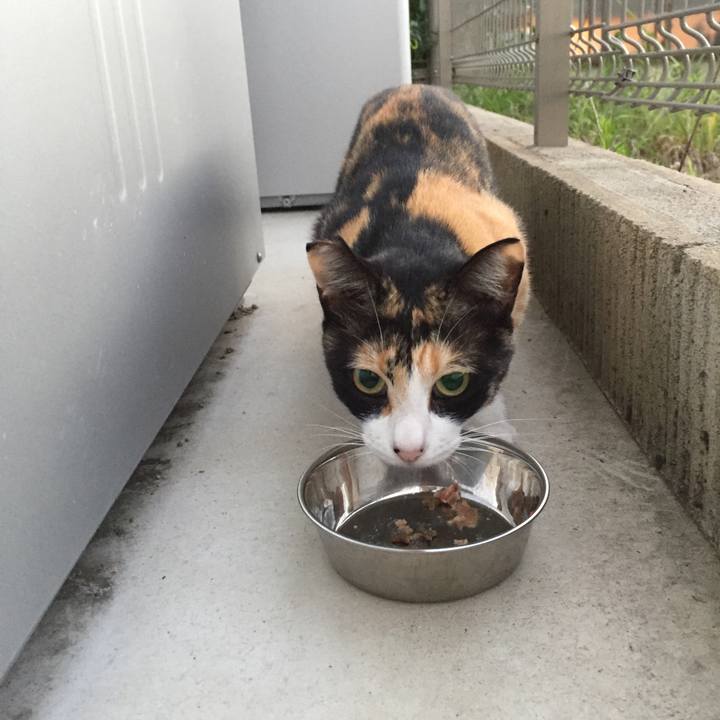 6f250dbc ba7c 4274 8489 a54002c5fe1f