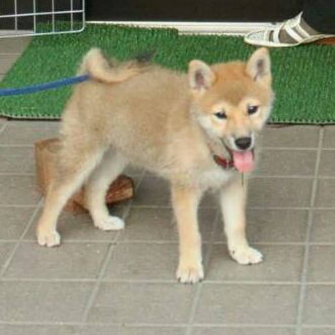 6f253a4c a23e 4816 afe8 646e220f3ab1