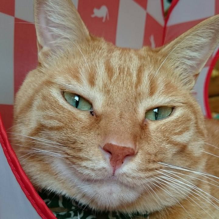 6f257e58 fd45 4978 9fb3 eab682e5446a