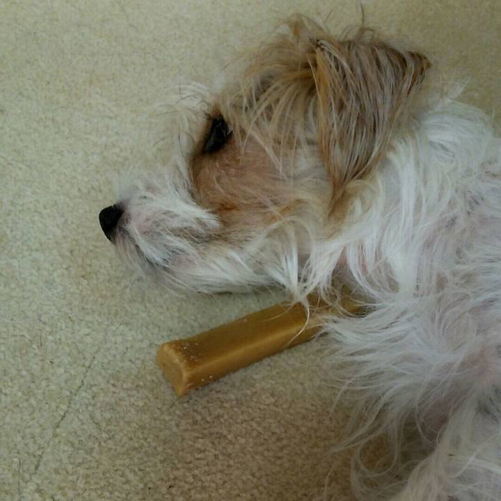 6f25a322 9035 434c 81bb e649539e1046