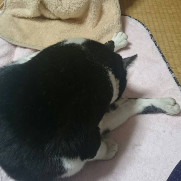 6f25ab48 fc0c 4899 a22a c6c64da5b6a4