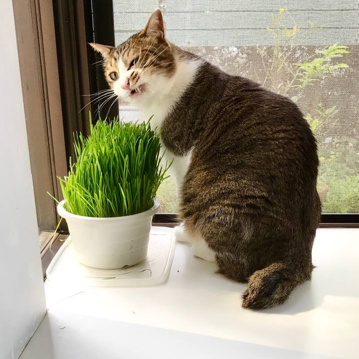 6f26036c dca6 4d12 80b2 08fcb7019017