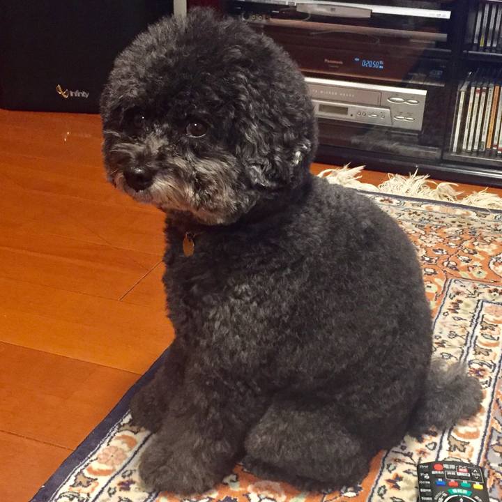 6f264baf 3ce5 4a7a a52f 8c8672a06701