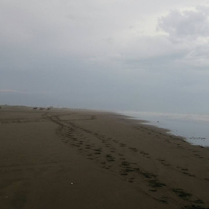 6f266663 901c 43e5 9840 caee570a06c4