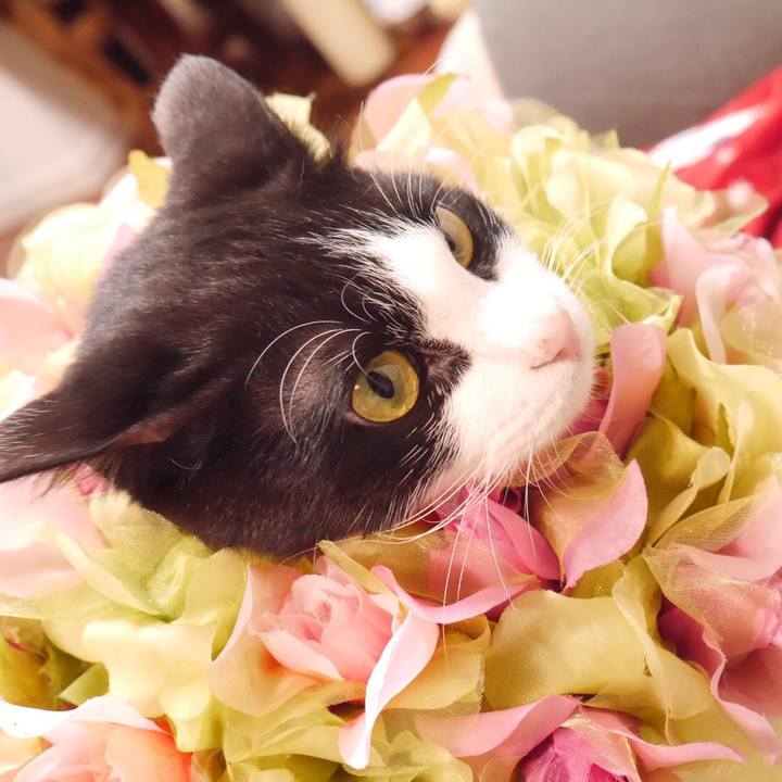 6f26a303 fa64 4ff4 829c f31f6b1ca32d