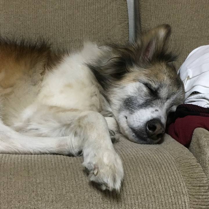 6f2761ce e0bb 4032 91f7 b7734d6e8f17