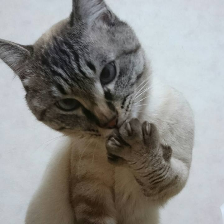 6f2789bc edbd 4a86 a0c8 aa931db71b69