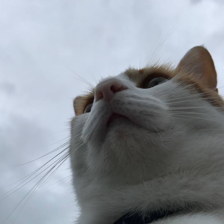 6f27b1ab e232 4c2e 90fd a05e5129f24f