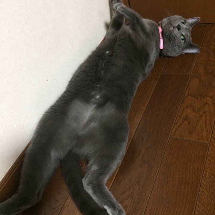 6f27bf23 86f9 40b1 a45f f63be195e0ac