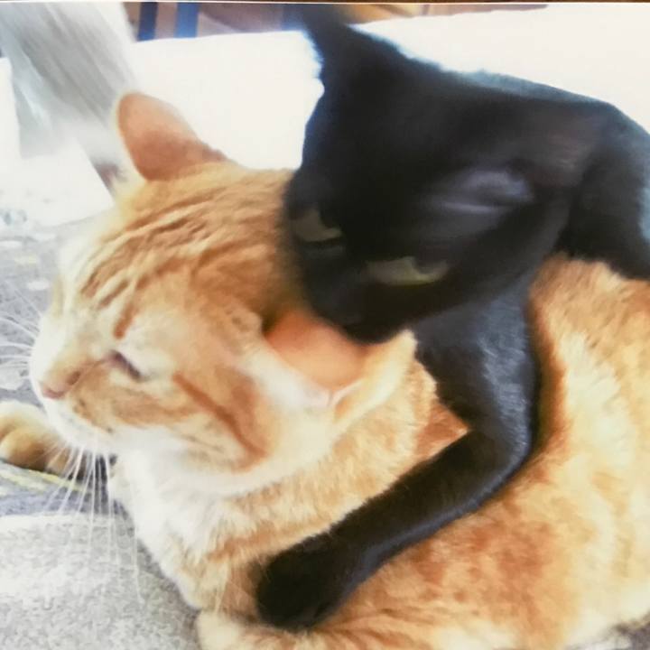 6f27cfb3 2967 483b 880b 31b7203a8ebb