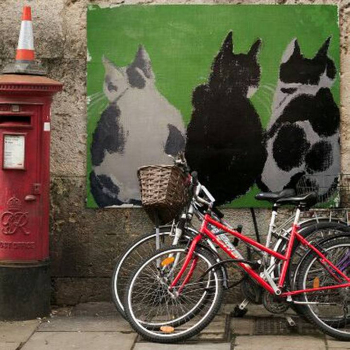 6f286d9e 6495 4710 8f68 d152d4ada892