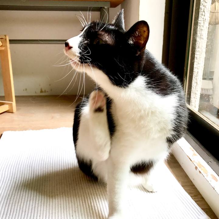 6f289c9d 4ea5 40c0 b1d6 b86c81dc8222