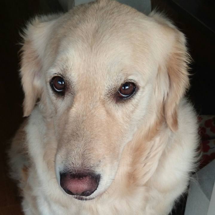 6f293de3 bae6 487e 9be1 6028aabc9f1d