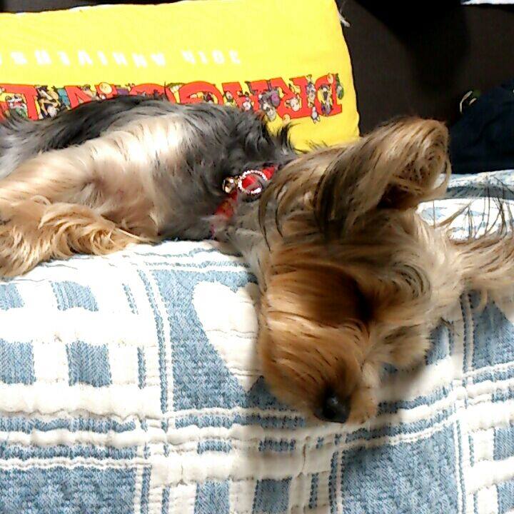 6f294531 00c4 4781 9fe6 4d2a7ed6b40d