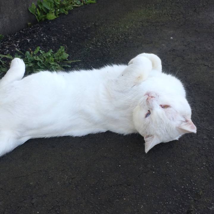 6f2b1d13 af5e 4183 a93c 05d6953a4941