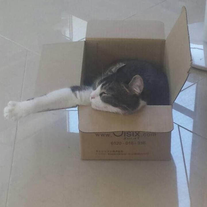 6f2b5ed4 0b78 4503 8318 9c902092758a