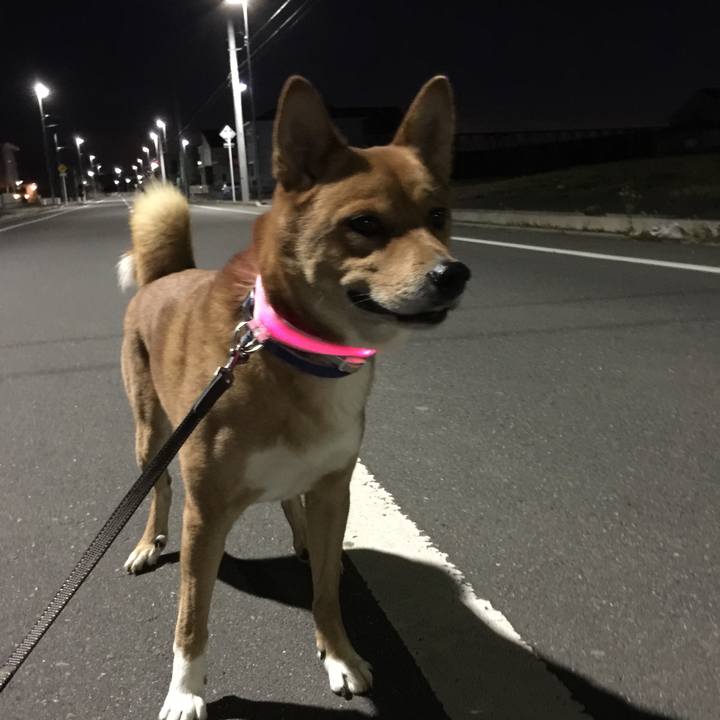 6f2b9476 7fb8 41a2 97a1 2ca26f455215