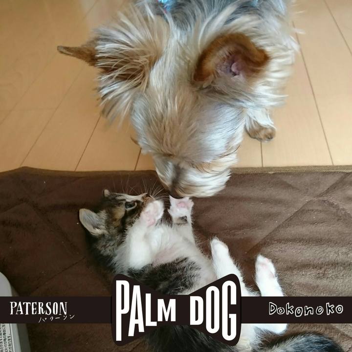 6f2c43a6 cb38 44bf 9050 26d0f66c846a