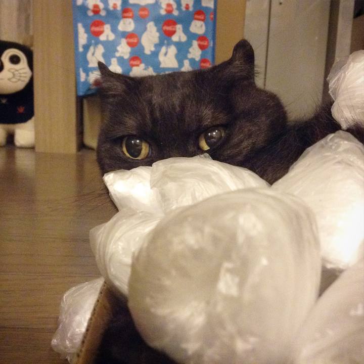 6f2cd503 2f26 419e 846f e2d64f4fa2a0