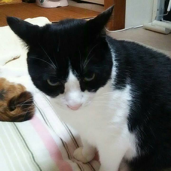 6f2d57bf 8cbc 43f0 aa1e 5d8a65bda678