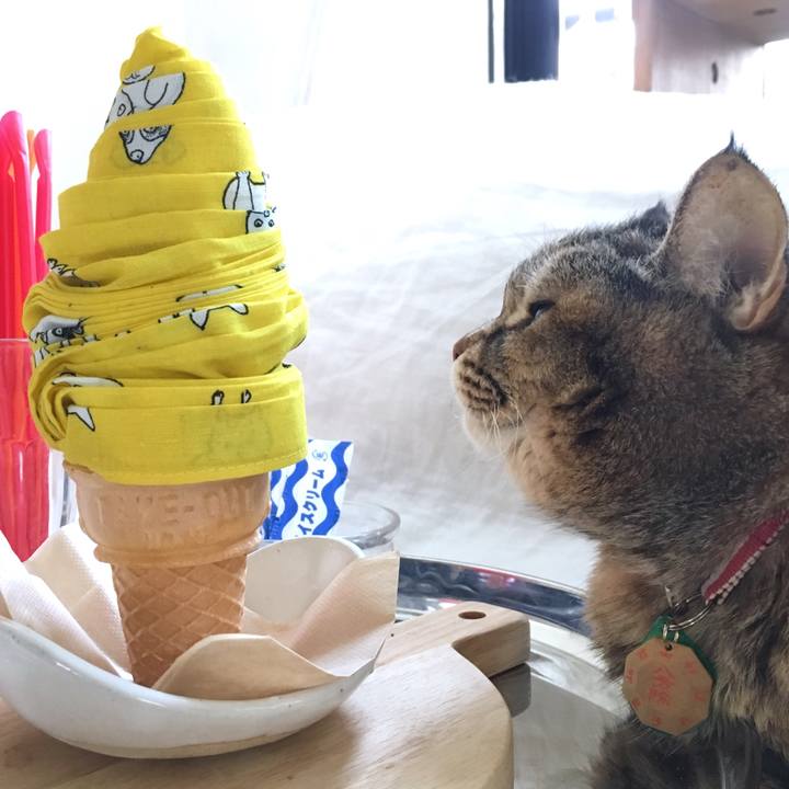 6f2d5d45 18e8 4c94 b3cd f437f8ba6480