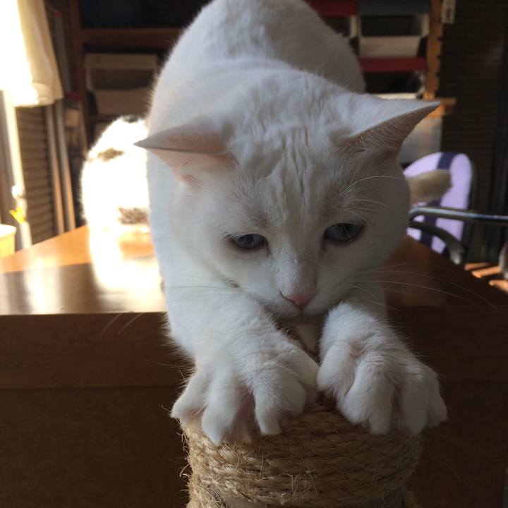 6f2d615c 766e 43b6 8bf9 5adce288ad28