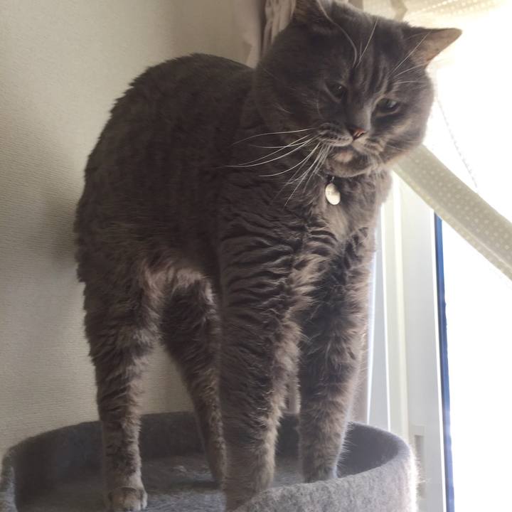 6f2ec073 7080 4937 b1ac c628d064ac91