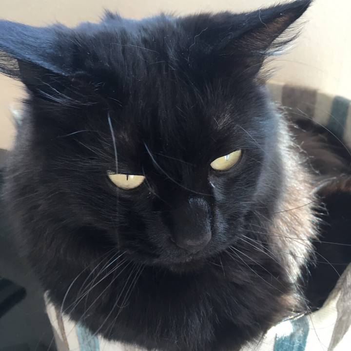 6f2fddbc 1973 4597 8997 134cd5a13d20