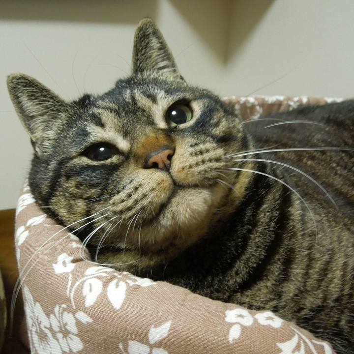 6f309843 3da8 4f02 8619 e774cebf66a5