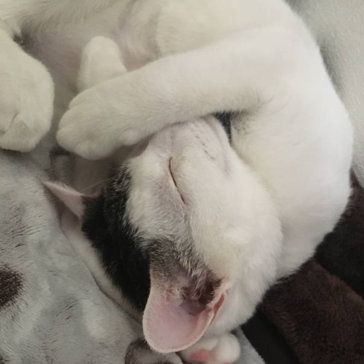 6f309e25 7374 4f2c 92fe adbefcebe757