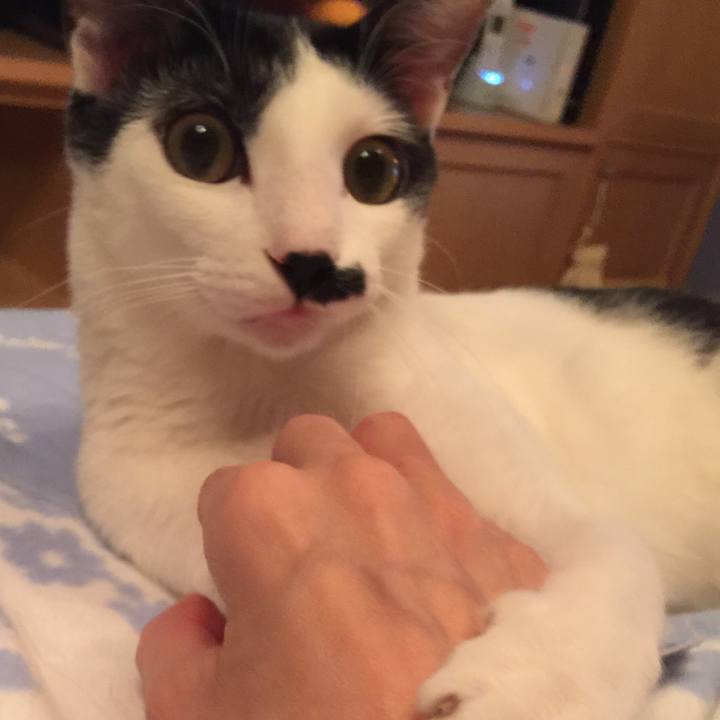 6f30cc20 c3a3 45fb 8508 45b3a0c0bae4