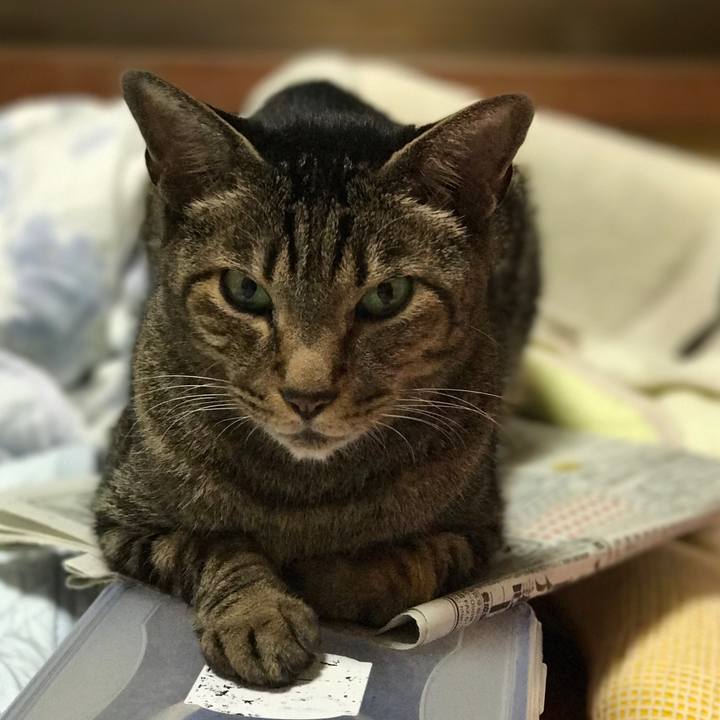 6f316c54 7619 4d23 af13 1ca0612815ca