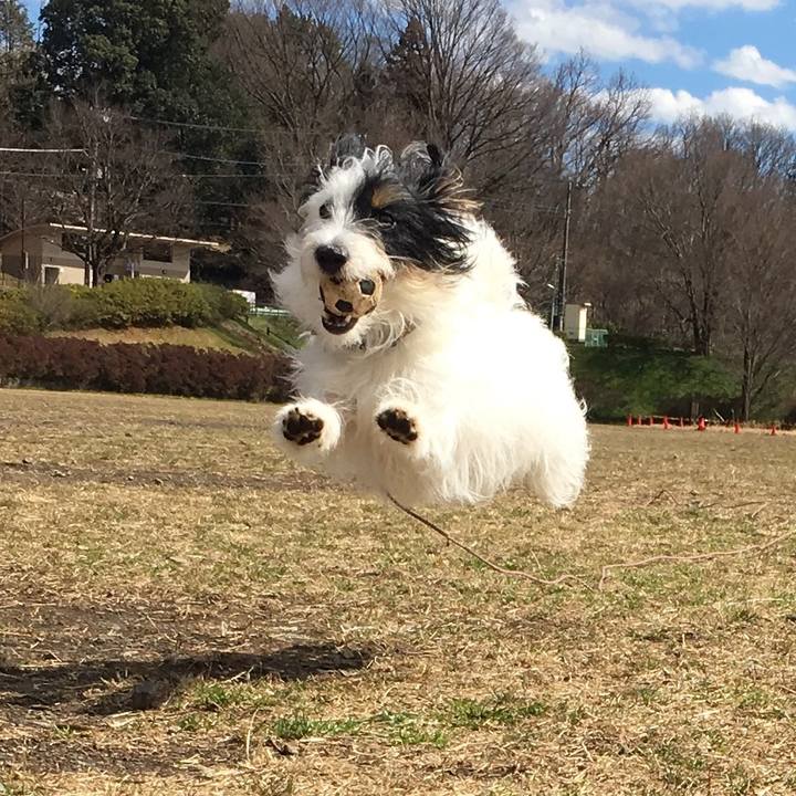 6f3182ad b28c 4ec9 8cfc 3cd3b81d3dc2