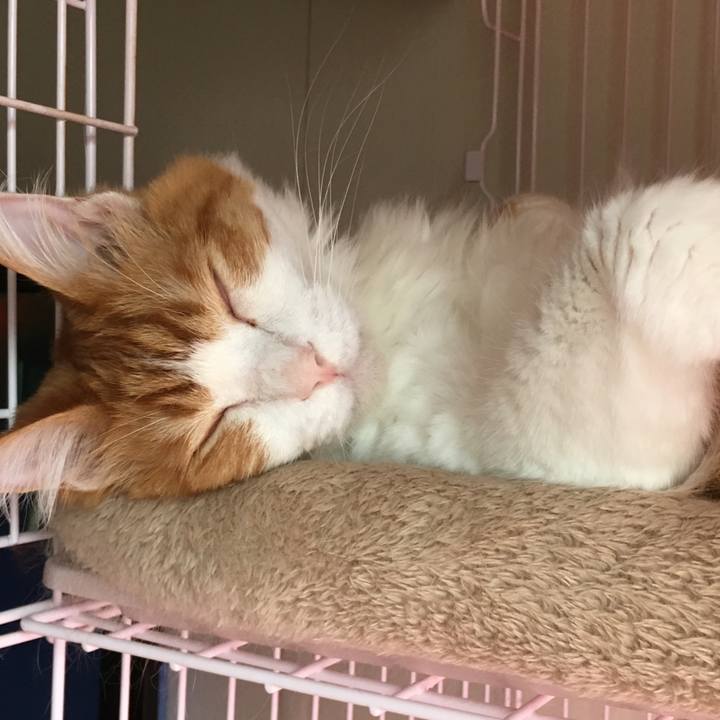 6f3211b5 d833 40d4 836b 53acf07c4d64