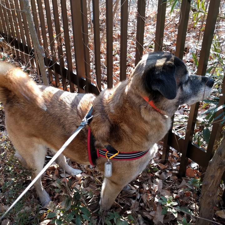 6f327086 65dd 4377 8c18 19772f85dfb8